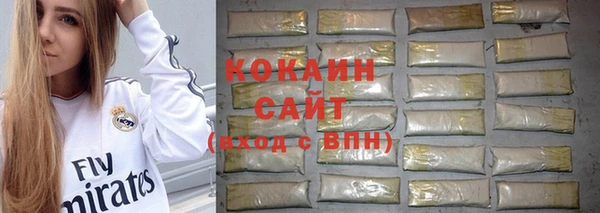 кокс Арсеньев