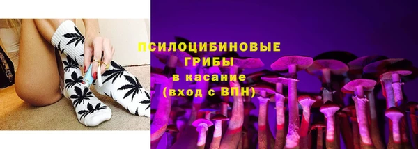трава Армянск