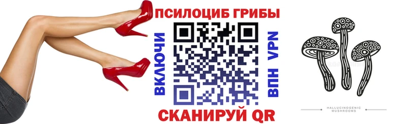 купить закладку  OMG вход  Псилоцибиновые грибы прущие грибы  Туран 